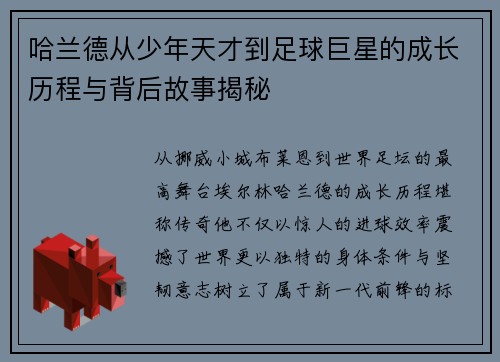 哈兰德从少年天才到足球巨星的成长历程与背后故事揭秘